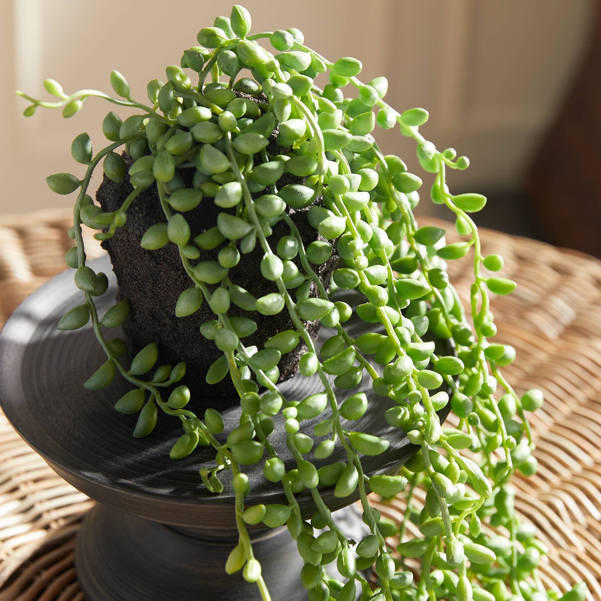 String Of Pearls Drop-In