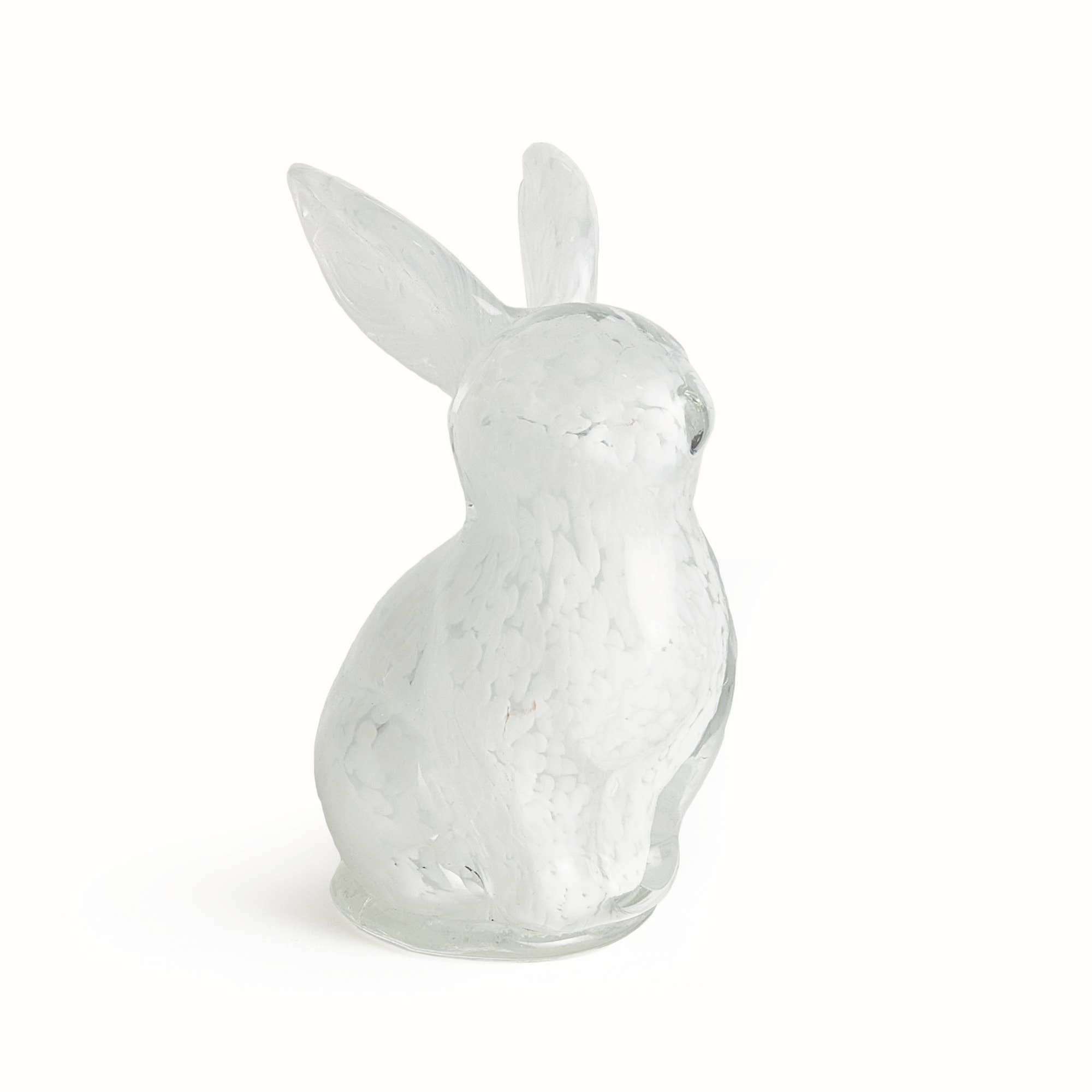 Daisy Mae Bunny