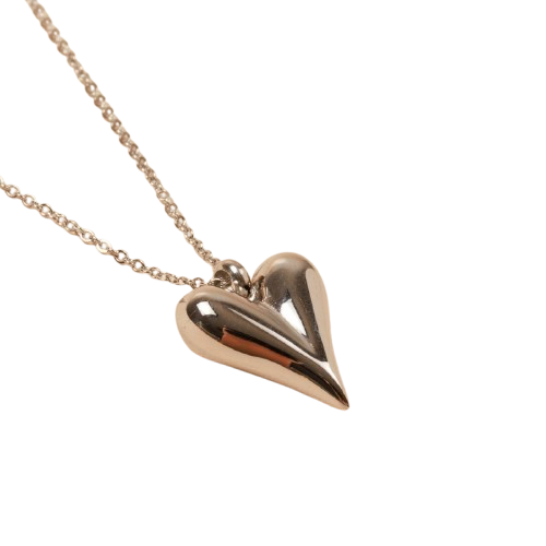 Heart Charm Necklace