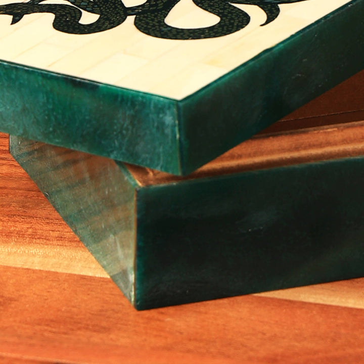 Snake & Bone Lidded Box