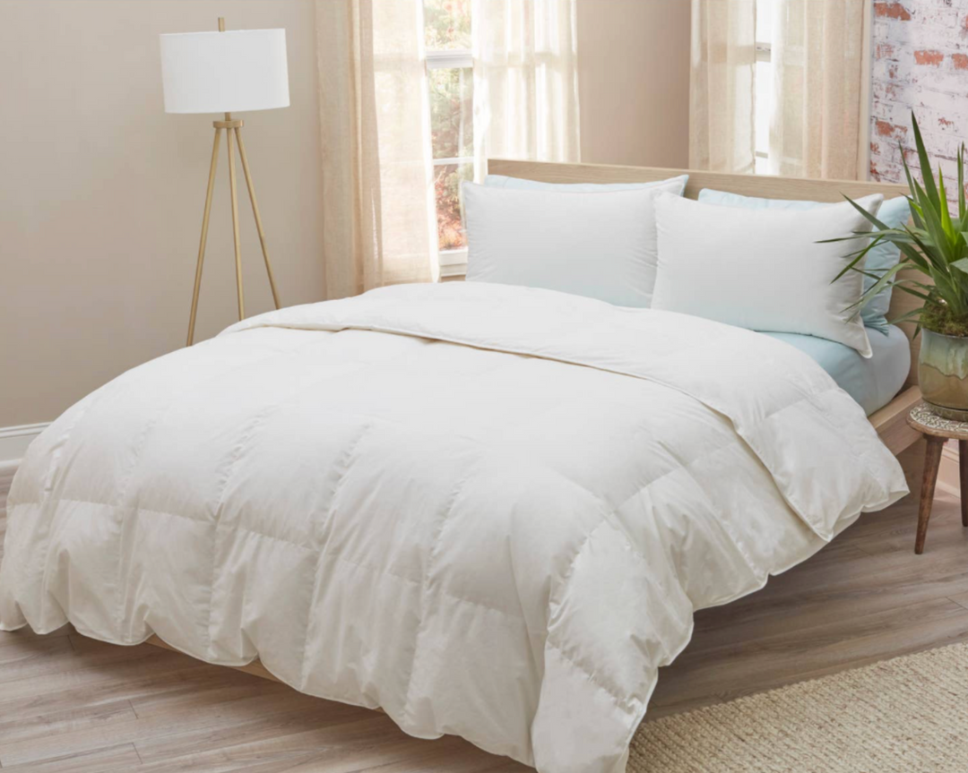 Rachel Down Comforter - Summer Weight