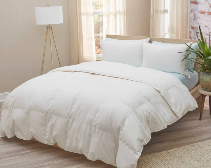 Rachel Down Comforter - Summer Weight